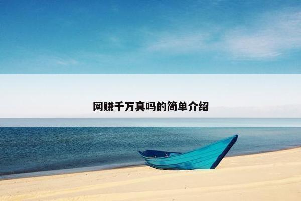 网赚千万真吗的简单介绍