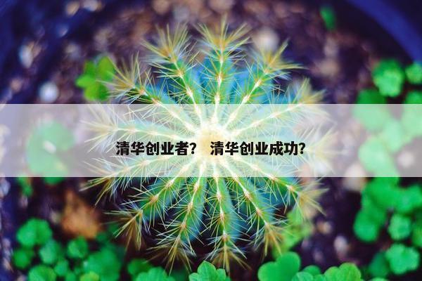 清华创业者？ 清华创业成功？