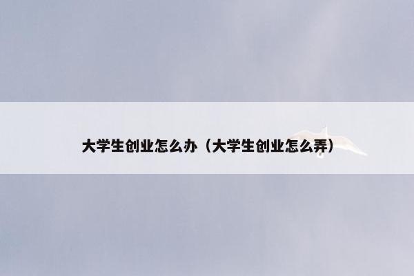 大学生创业怎么办（大学生创业怎么弄）