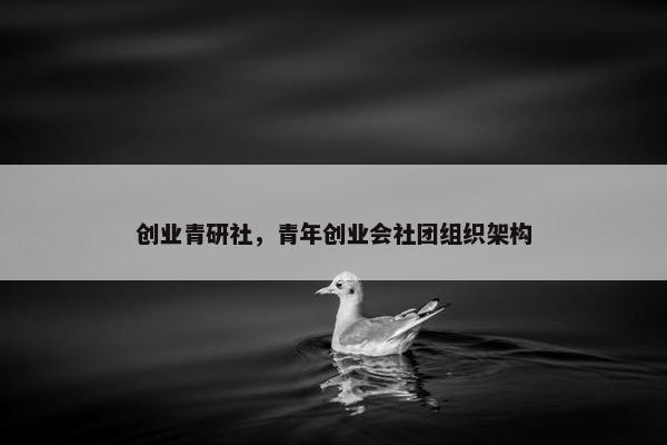 创业青研社，青年创业会社团组织架构