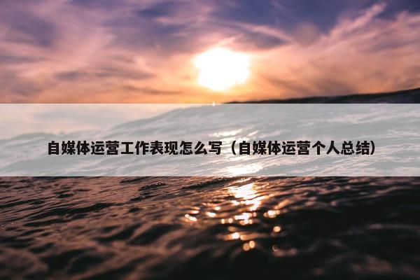 自媒体运营工作表现怎么写（自媒体运营个人总结）
