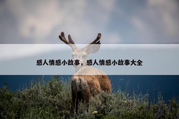 感人情感小故事，感人情感小故事大全