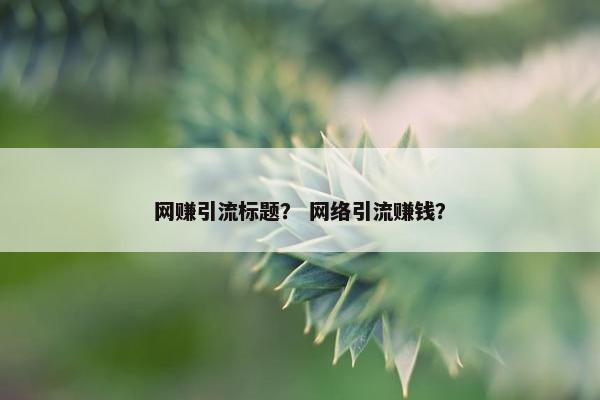 网赚引流标题？ 网络引流赚钱？