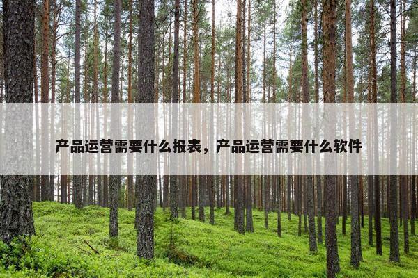 产品运营需要什么报表，产品运营需要什么软件