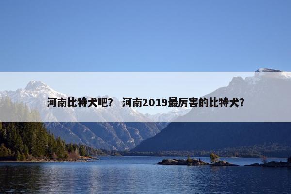 河南比特犬吧？ 河南2019最厉害的比特犬？