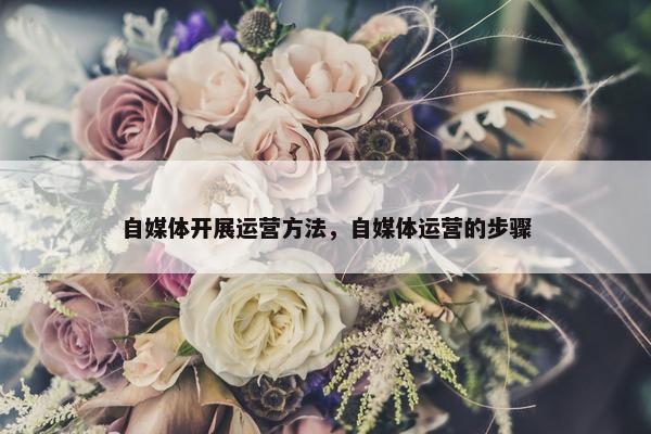 自媒体开展运营方法，自媒体运营的步骤