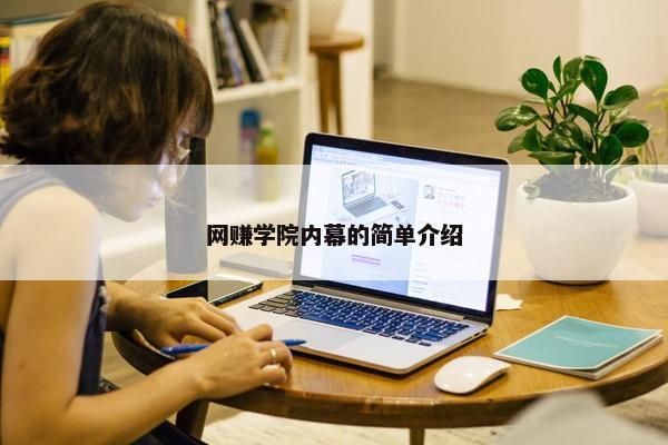 网赚学院内幕的简单介绍