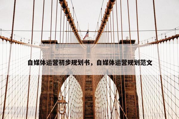 自媒体运营初步规划书，自媒体运营规划范文