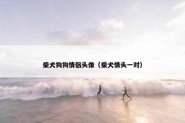 柴犬狗狗情侣头像（柴犬情头一对）