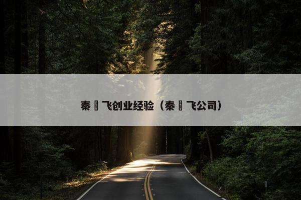 秦玥飞创业经验（秦玥飞公司）