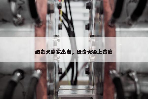 缉毒犬离家出走，缉毒犬染上毒瘾