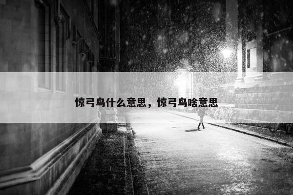 惊弓鸟什么意思，惊弓鸟啥意思
