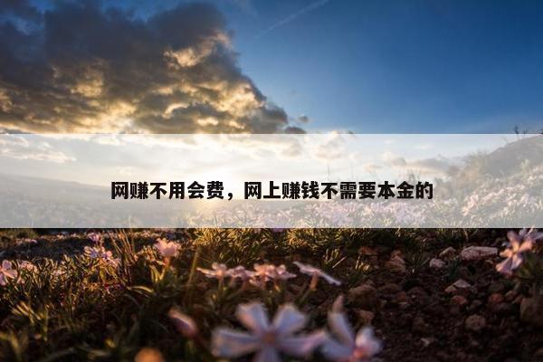 网赚不用会费，网上赚钱不需要本金的