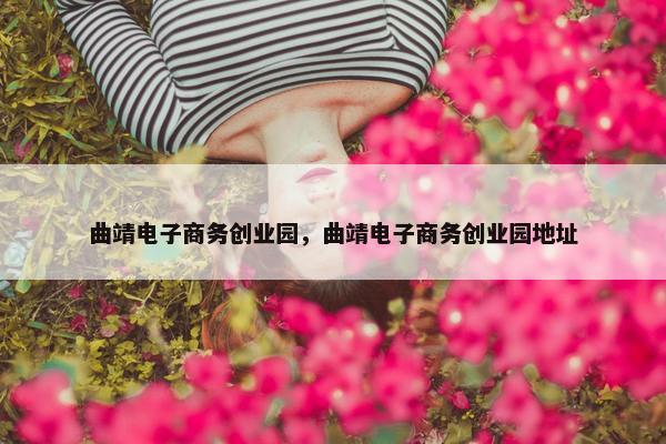 曲靖电子商务创业园，曲靖电子商务创业园地址