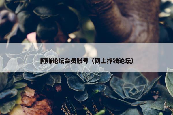 网赚论坛会员账号（网上挣钱论坛）