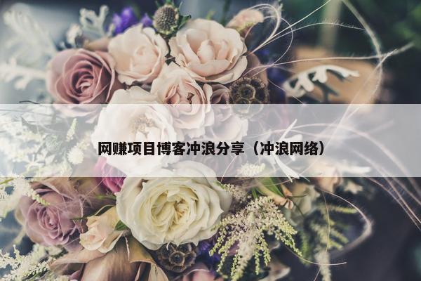 网赚项目博客冲浪分享（冲浪网络）
