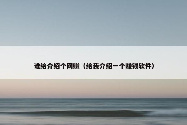 谁给介绍个网赚（给我介绍一个赚钱软件）