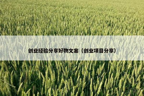 创业经验分享好物文案（创业项目分享）