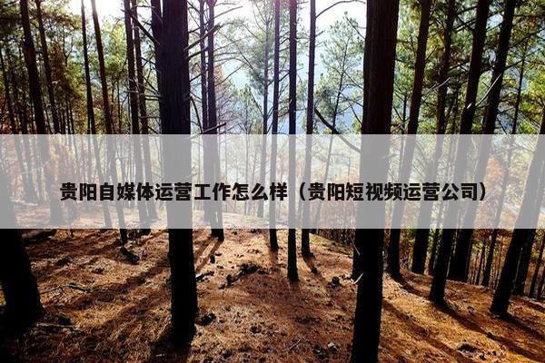 贵阳自媒体运营工作怎么样（贵阳短视频运营公司）