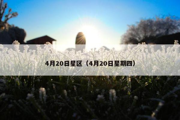 4月20日星区（4月20日星期四）