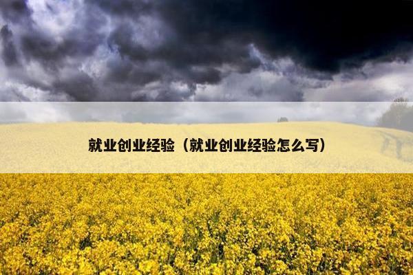 就业创业经验（就业创业经验怎么写）