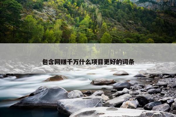 包含网赚千万什么项目更好的词条