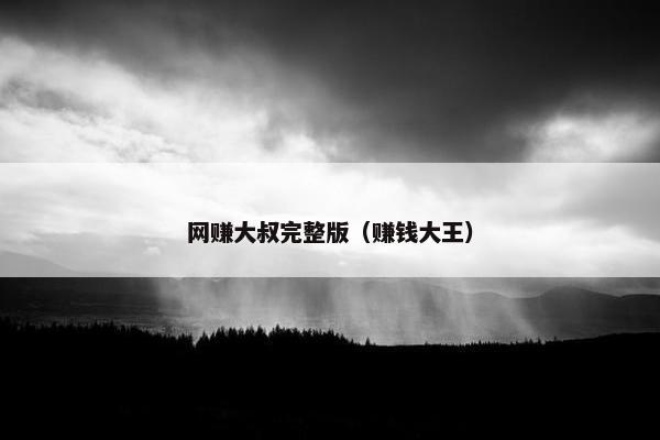 网赚大叔完整版（赚钱大王）