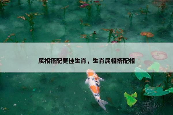 属相搭配更佳生肖，生肖属相搭配相