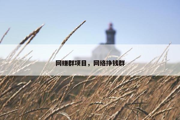 网赚群项目，网络挣钱群