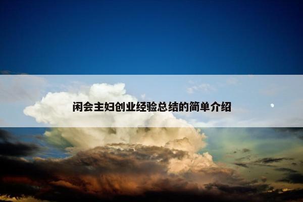 闲会主妇创业经验总结的简单介绍