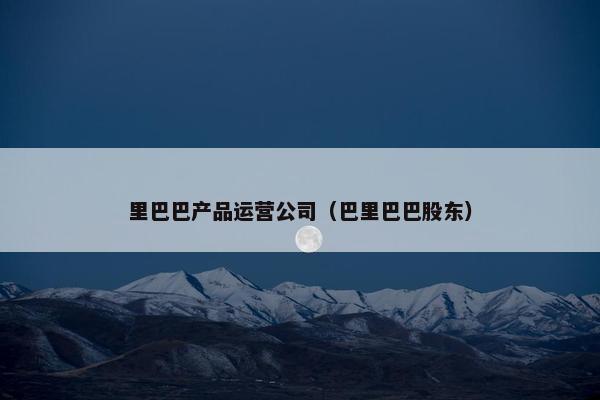 里巴巴产品运营公司（巴里巴巴股东）