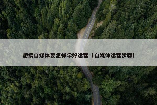想搞自媒体要怎样学好运营（自媒体运营步骤）