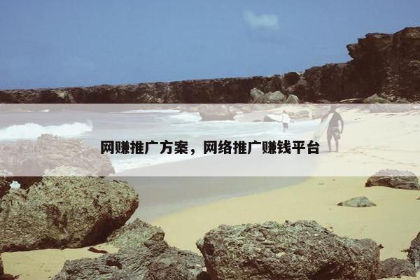 网赚推广方案，网络推广赚钱平台