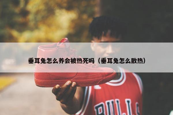 垂耳兔怎么养会被热死吗（垂耳兔怎么散热）