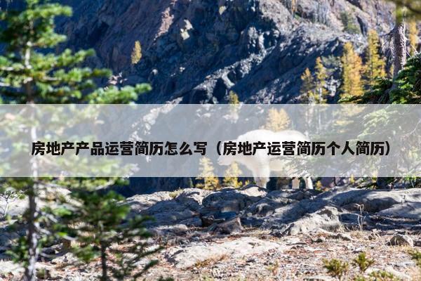房地产产品运营简历怎么写（房地产运营简历个人简历）