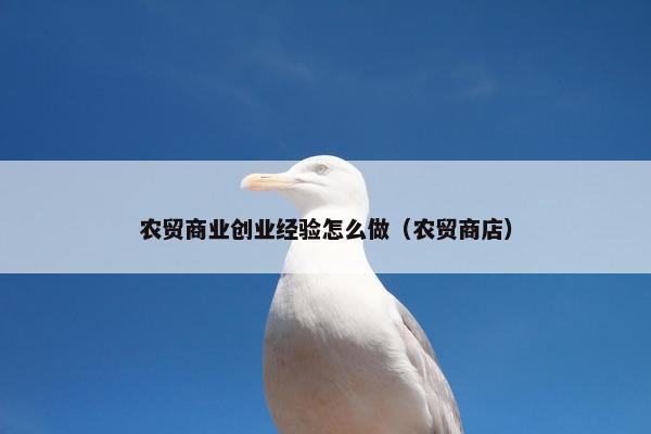 农贸商业创业经验怎么做（农贸商店）
