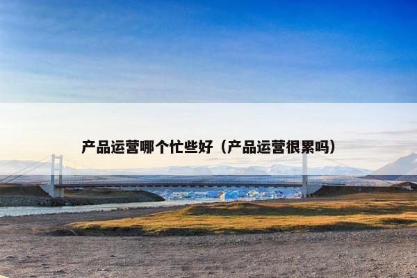 产品运营哪个忙些好（产品运营很累吗）