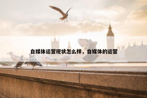 自媒体运营现状怎么样，自媒体的运营