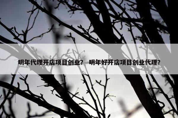 明年代理开店项目创业？ 明年好开店项目创业代理？