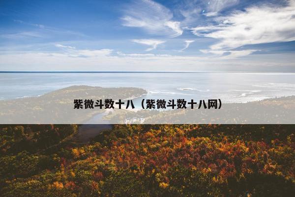 紫微斗数十八（紫微斗数十八网）