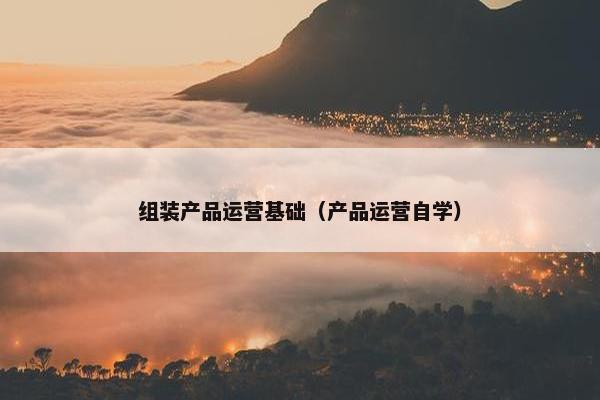 组装产品运营基础（产品运营自学）