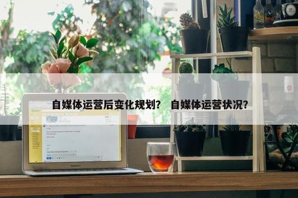 自媒体运营后变化规划？ 自媒体运营状况？