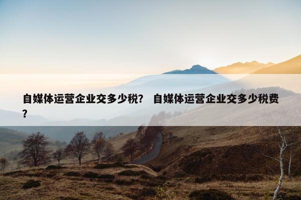 自媒体运营企业交多少税？ 自媒体运营企业交多少税费？