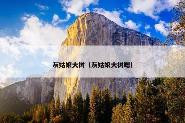 灰姑娘大树（灰姑娘大树嗯）
