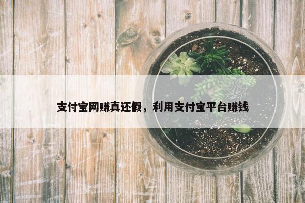 支付宝网赚真还假，利用支付宝平台赚钱