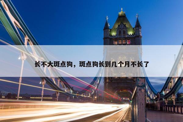 长不大斑点狗，斑点狗长到几个月不长了