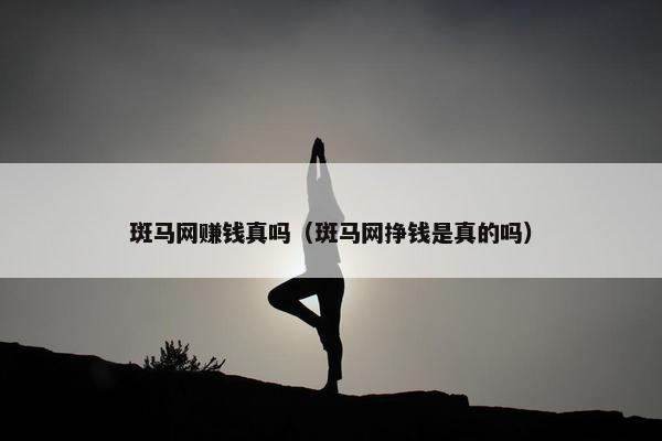 斑马网赚钱真吗（斑马网挣钱是真的吗）