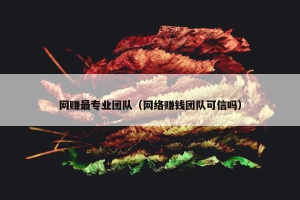 网赚最专业团队（网络赚钱团队可信吗）