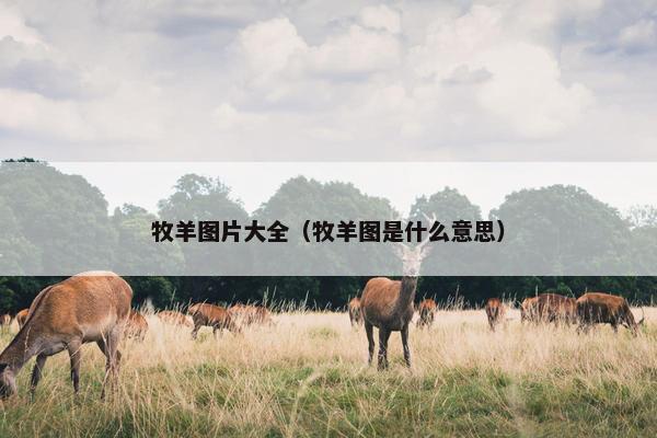 牧羊图片大全（牧羊图是什么意思）