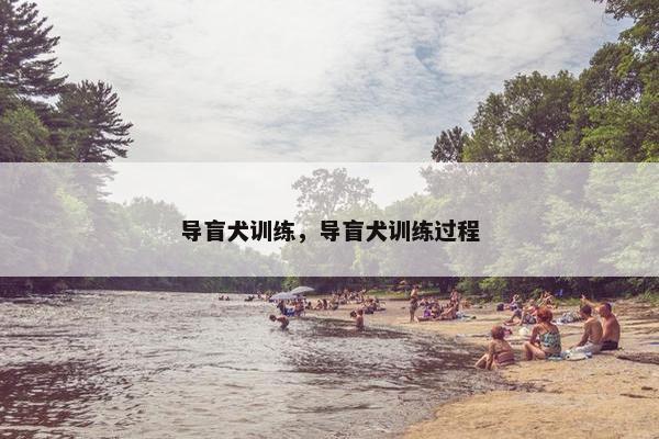 导盲犬训练，导盲犬训练过程
